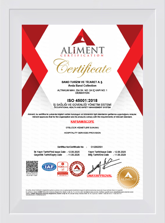 ISO 45001:2018