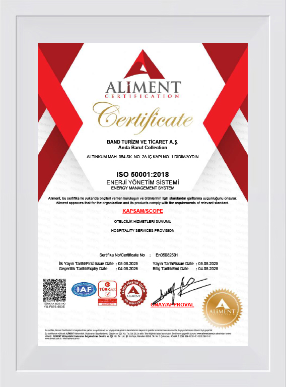 ISO 50001:2018